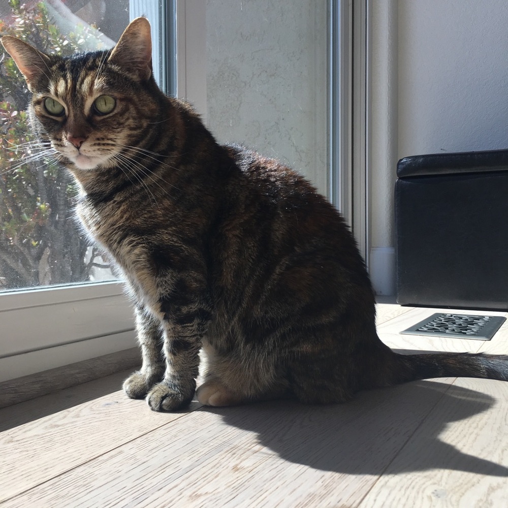 Meet your Posher, Sara